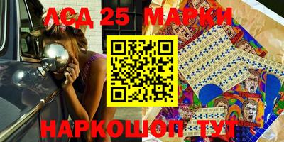PSILOCYBIN Гатчина