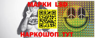 PSILOCYBIN Гатчина