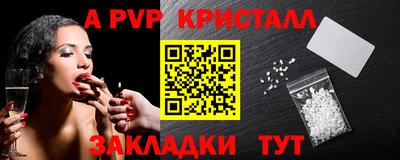 PSILOCYBIN Гатчина