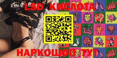 PSILOCYBIN Гатчина