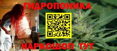 PSILOCYBIN Гатчина