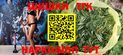 PSILOCYBIN Гатчина
