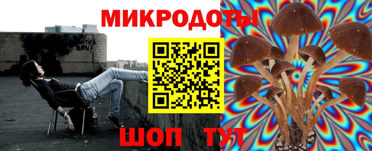 Галлюциногенные грибы MAGIC MUSHROOMS  Вход с VPN  Иркутск  Галлюциногенные грибы Magic Shrooms 